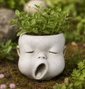 Concrete Roberto Head