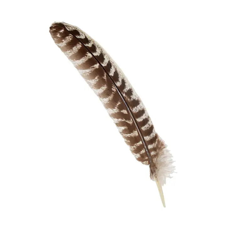 Turkey Smoke-Cleansing Feather