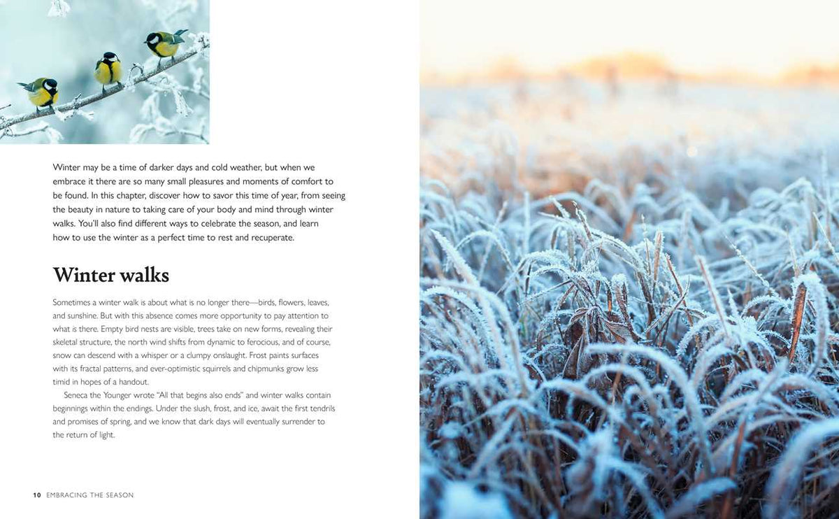 Winter Wellbeing
