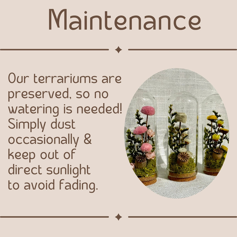 Dark Academia | Mini Dried Floral Terrarium