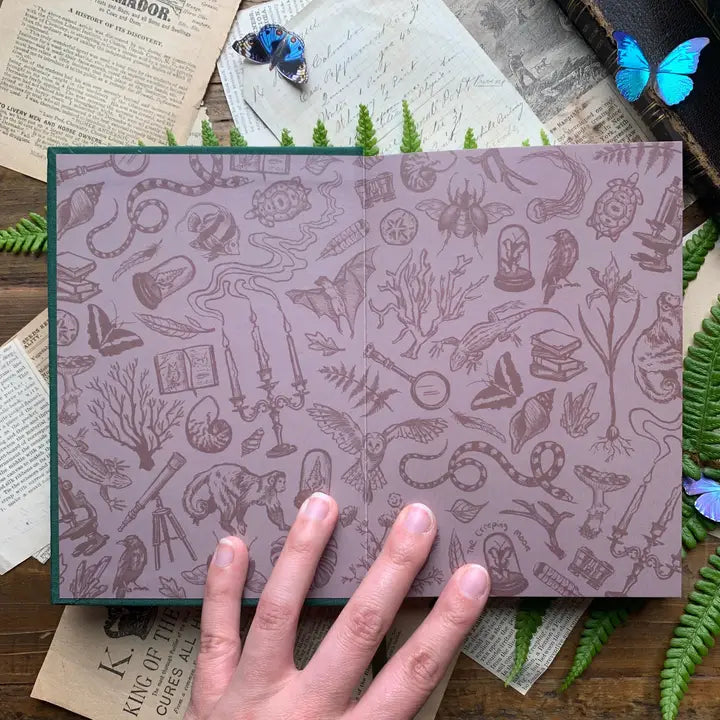 The Botanist Sketchbook