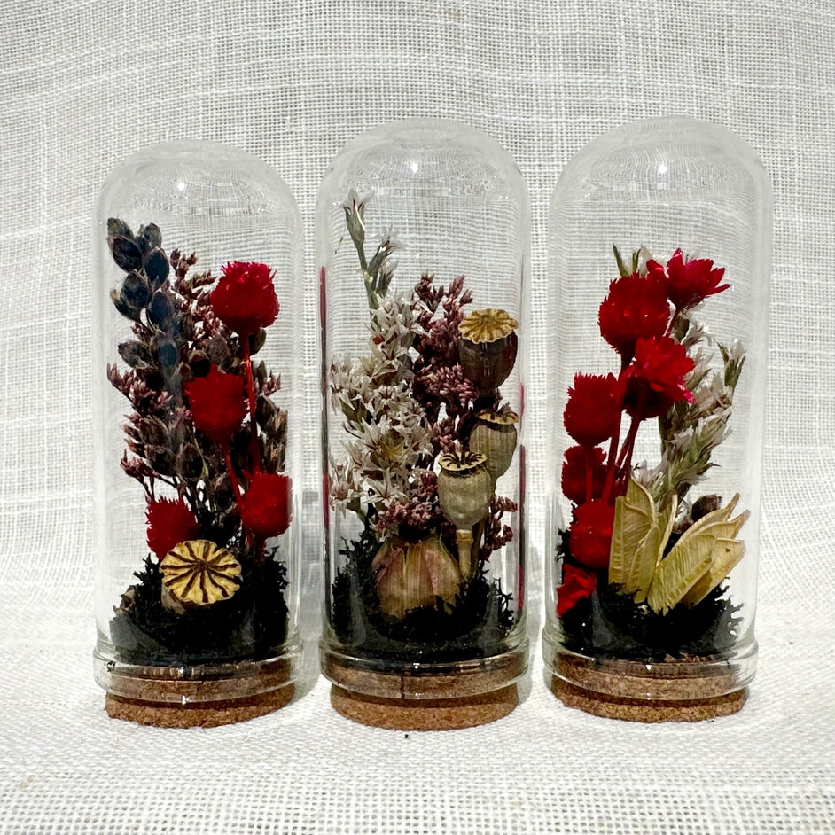 Dark Academia | Mini Dried Floral Terrarium