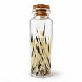 Porcupine Quills in Glass Jar