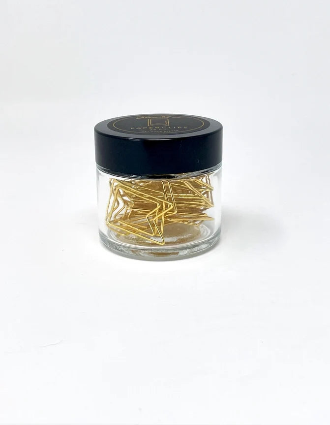 Gold Plated Paper Clips | 2 Styles
