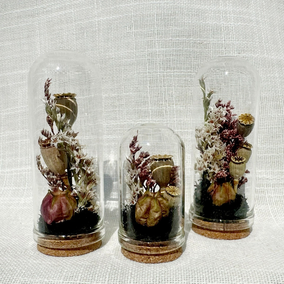 Immortal Curse | Mini Dried Floral Terrarium