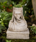 Concrete Small Veiled Lady
