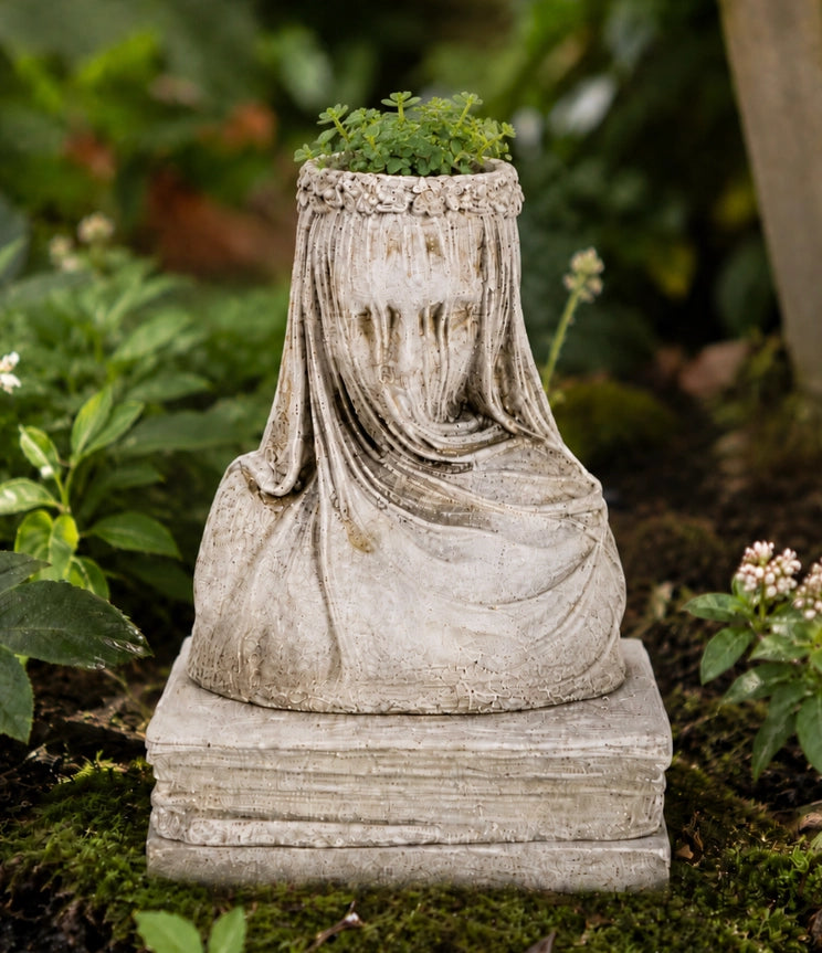 Concrete Small Veiled Lady