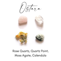 Sabbat Crystal + Herb Collection | Ostara — Renewal + New Life