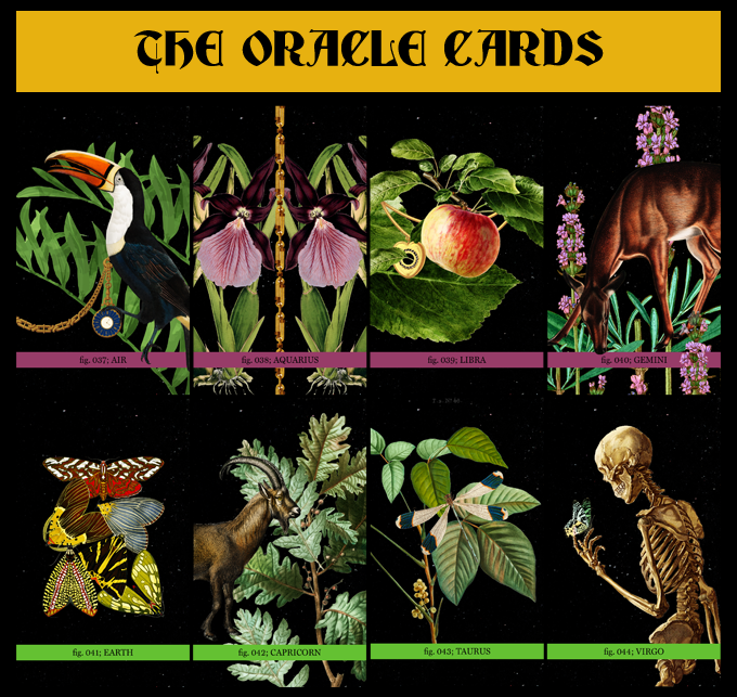 Eternal Gardens | Oracle & Lenormand Deck