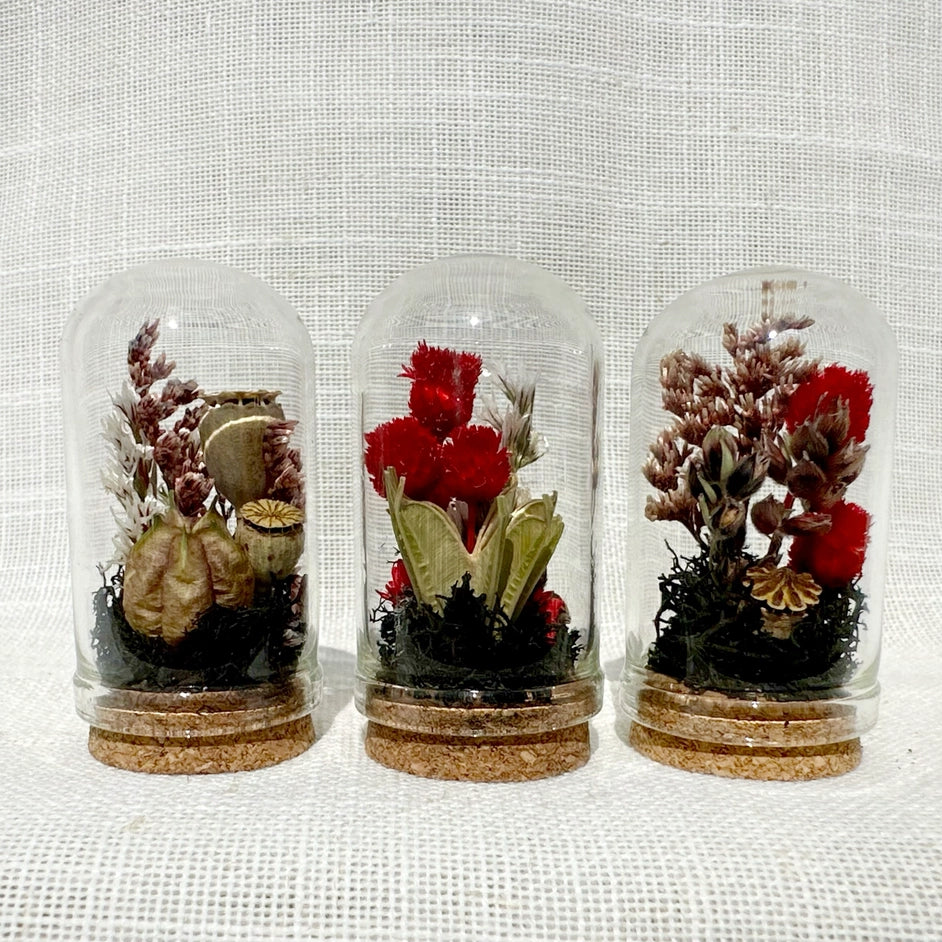 Dark Academia | Mini Dried Floral Terrarium