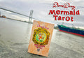 Dame Darcy Mermaid Tarot Gold Edition