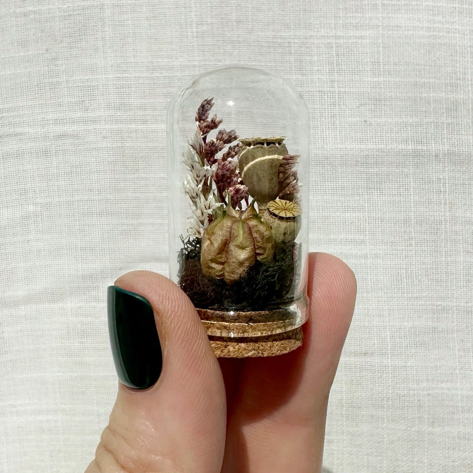 Immortal Curse | Mini Dried Floral Terrarium