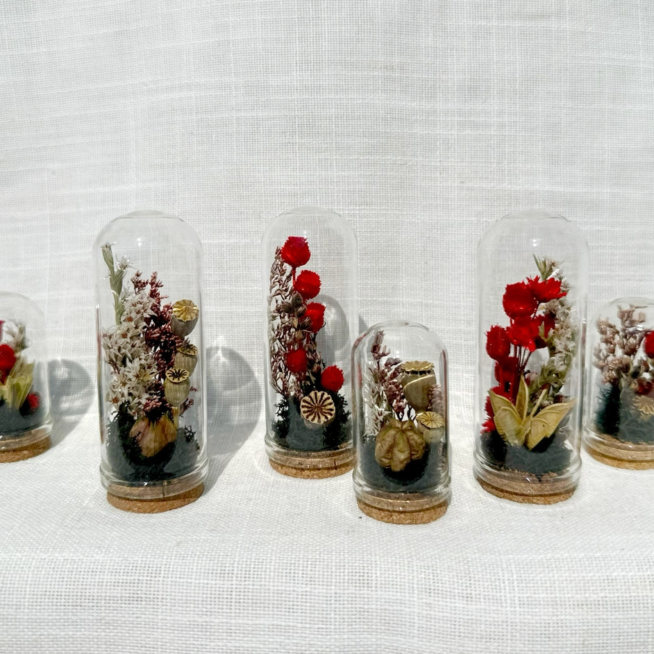 Dark Academia | Mini Dried Floral Terrarium