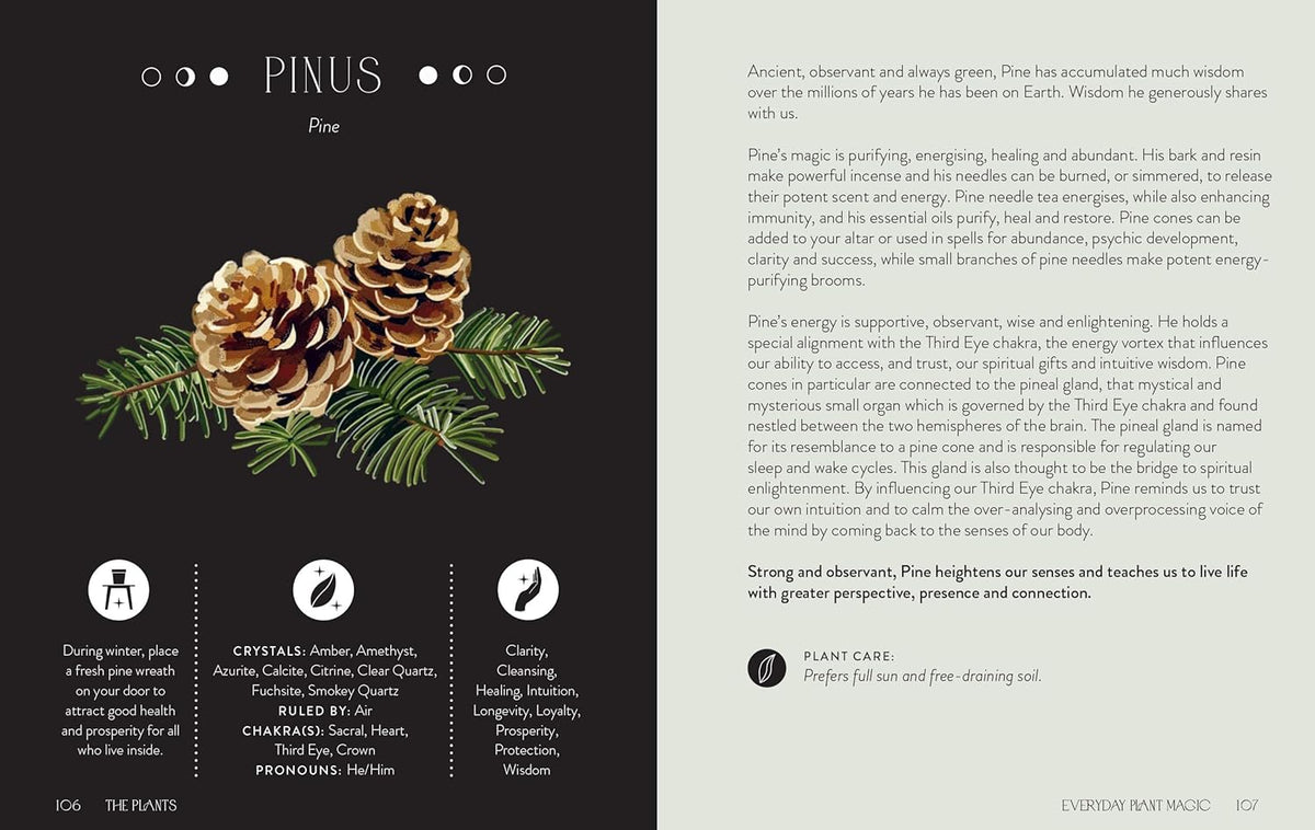 Everyday Plant Magic: Change Your Life Through the Magical Energy of Nature