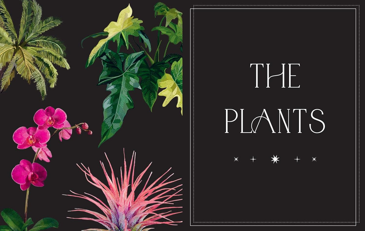 Everyday Plant Magic: Change Your Life Through the Magical Energy of Nature