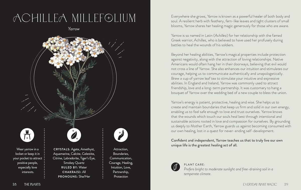 Everyday Plant Magic: Change Your Life Through the Magical Energy of Nature