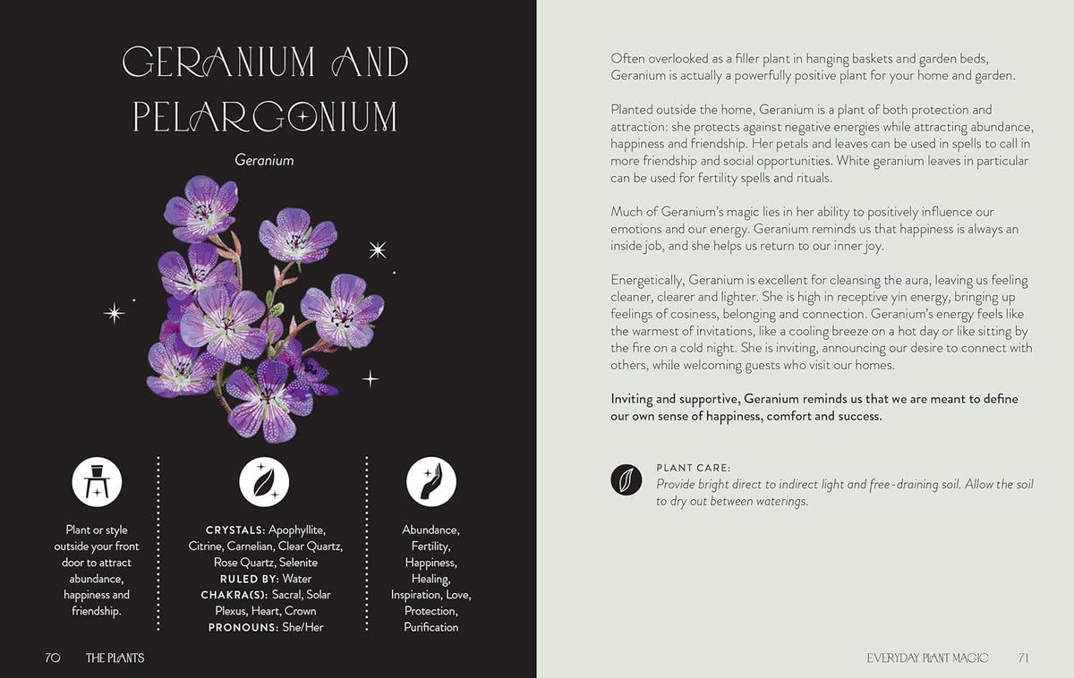 Everyday Plant Magic: Change Your Life Through the Magical Energy of Nature