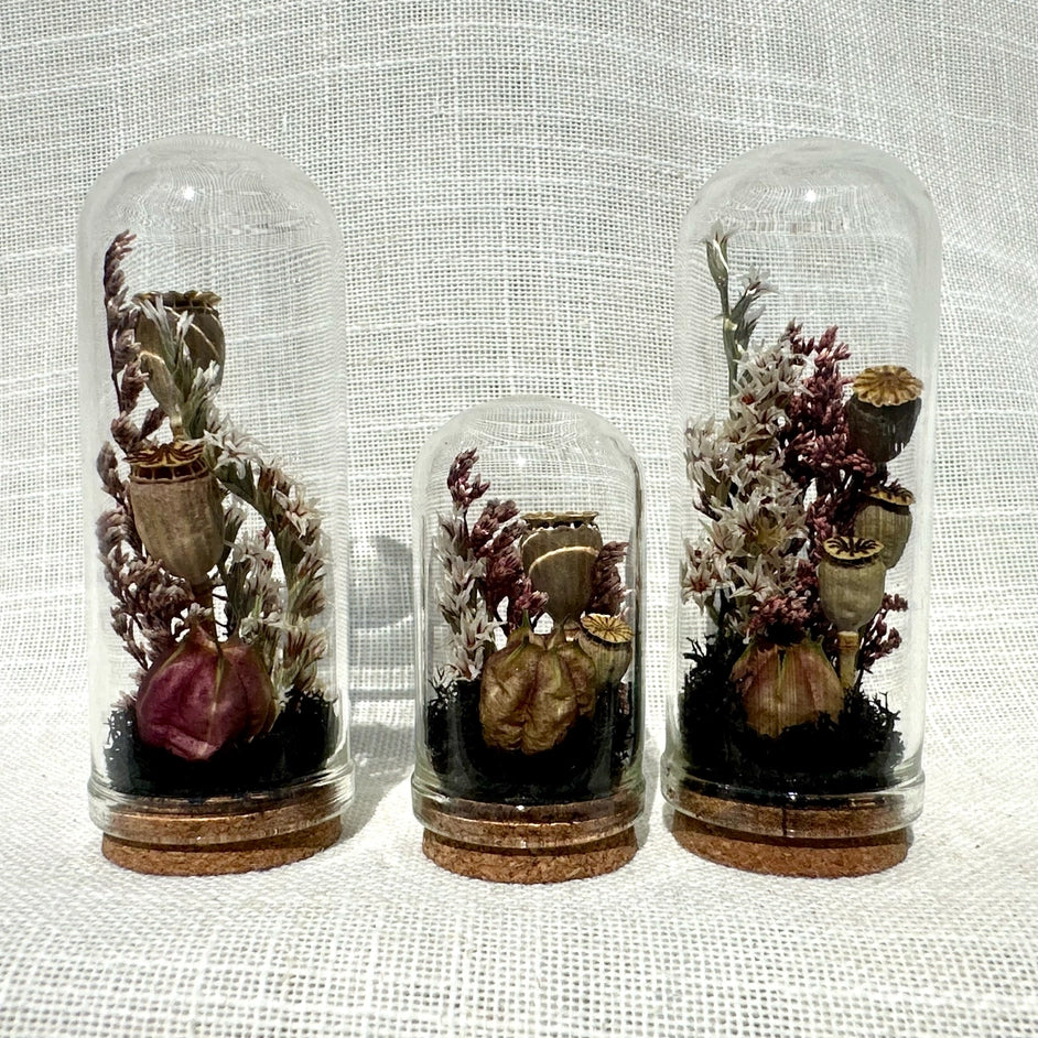 Immortal Curse | Mini Dried Floral Terrarium