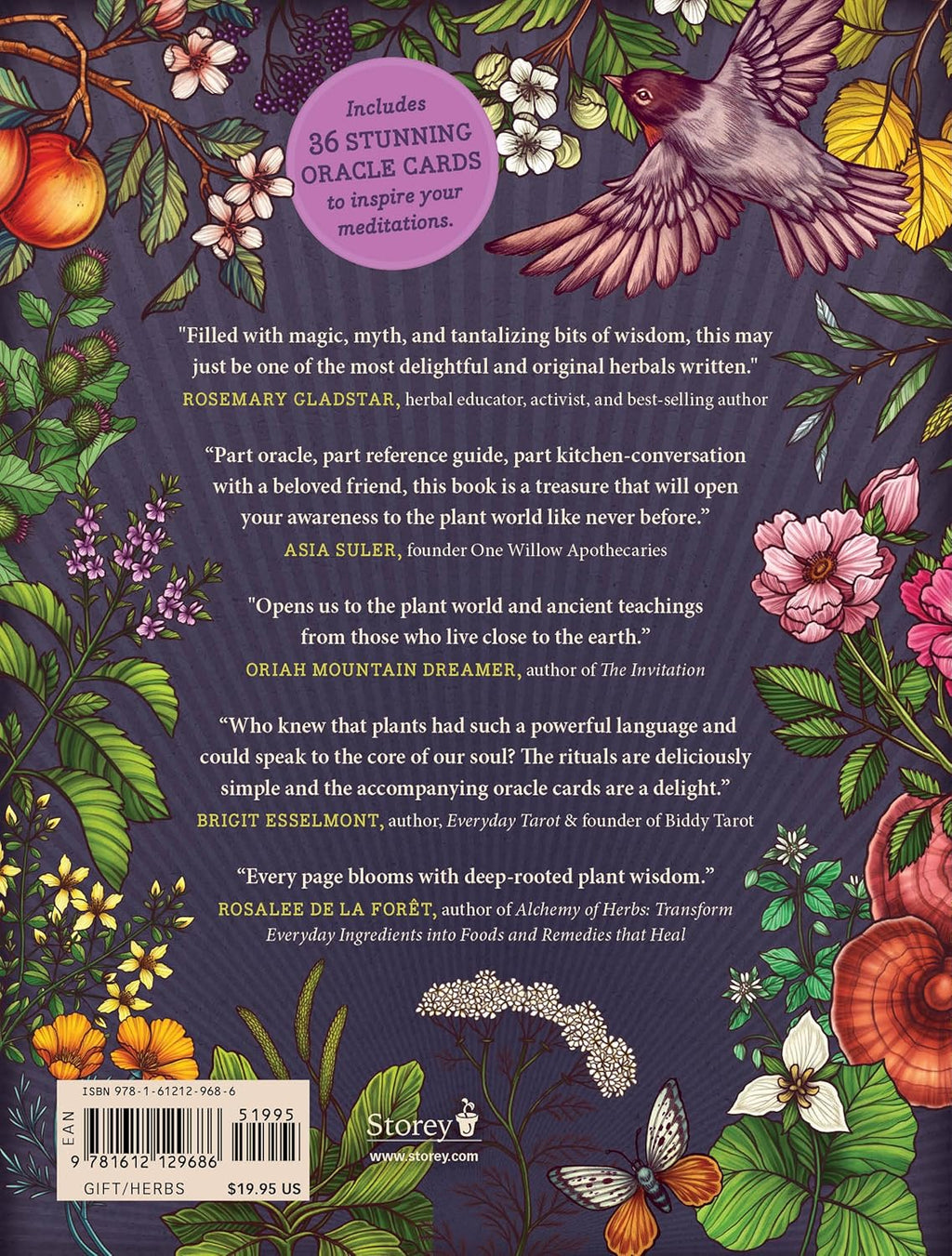 The Illustrated Herbiary: Guidance and Rituals from 35 Bewitching Botanicals