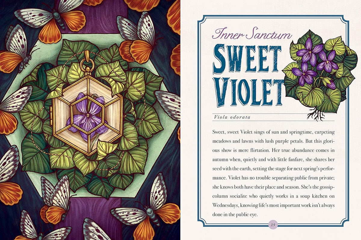 The Illustrated Herbiary: Guidance and Rituals from 35 Bewitching Botanicals