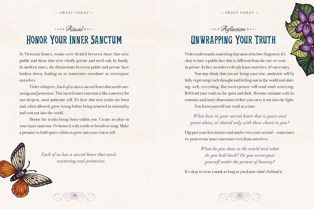 The Illustrated Herbiary: Guidance and Rituals from 35 Bewitching Botanicals