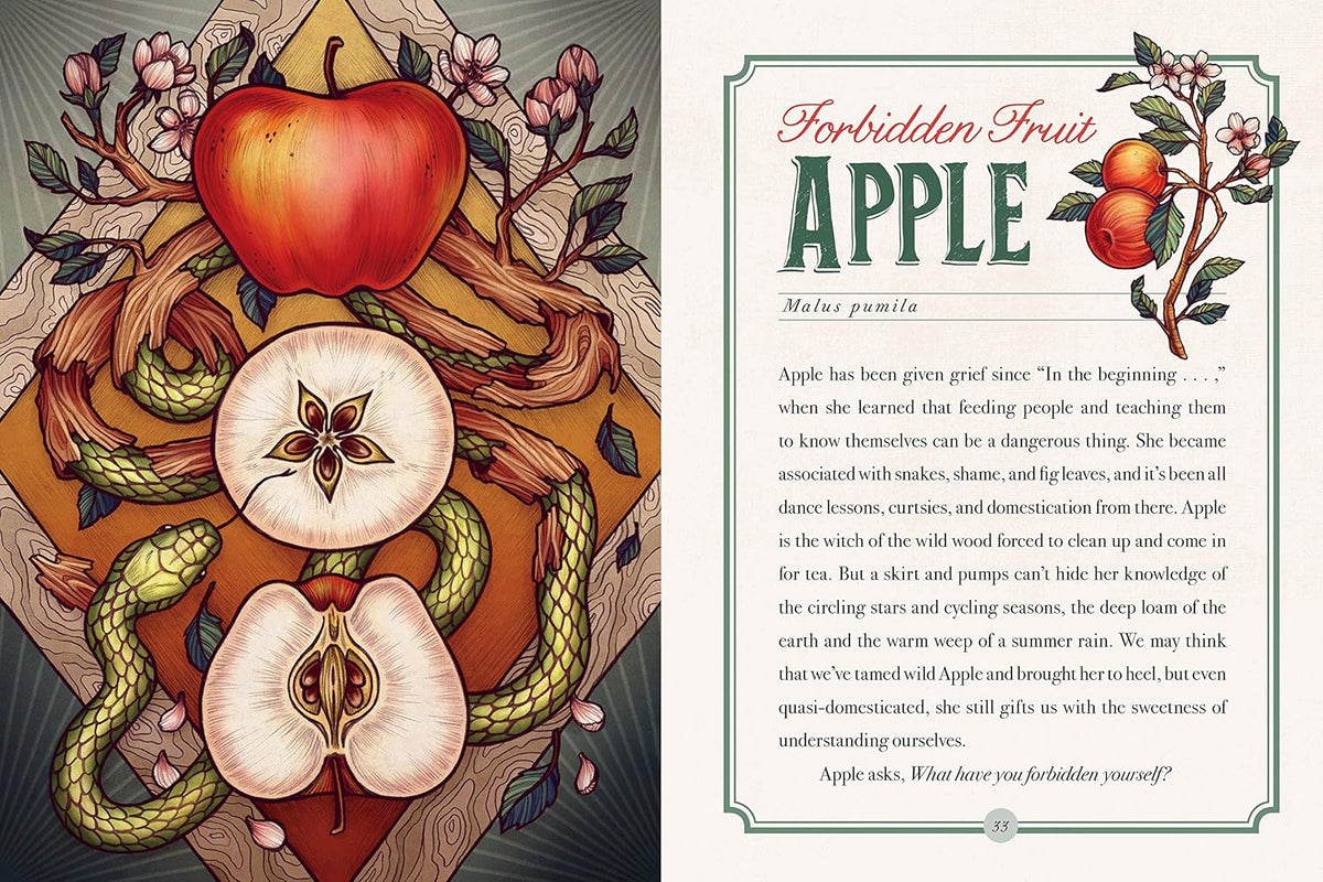 The Illustrated Herbiary: Guidance and Rituals from 35 Bewitching Botanicals