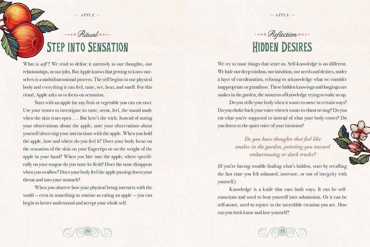 The Illustrated Herbiary: Guidance and Rituals from 35 Bewitching Botanicals