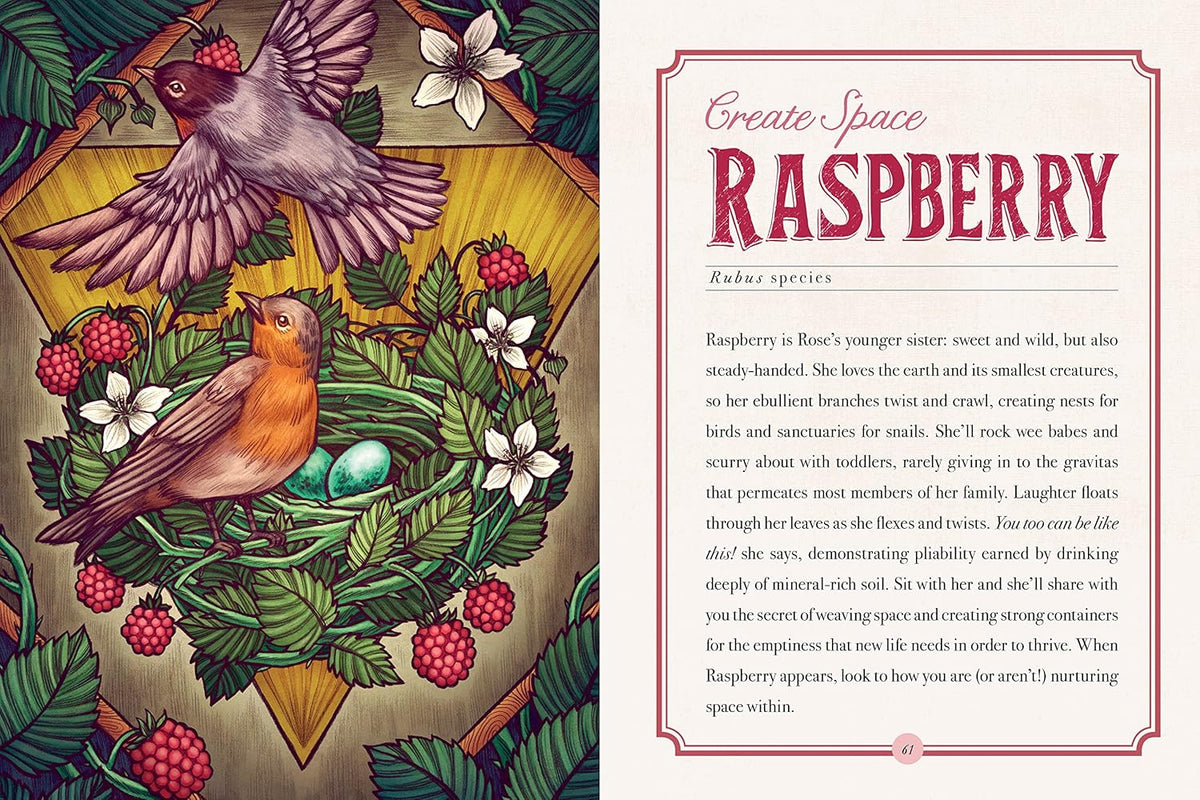 The Illustrated Herbiary: Guidance and Rituals from 35 Bewitching Botanicals