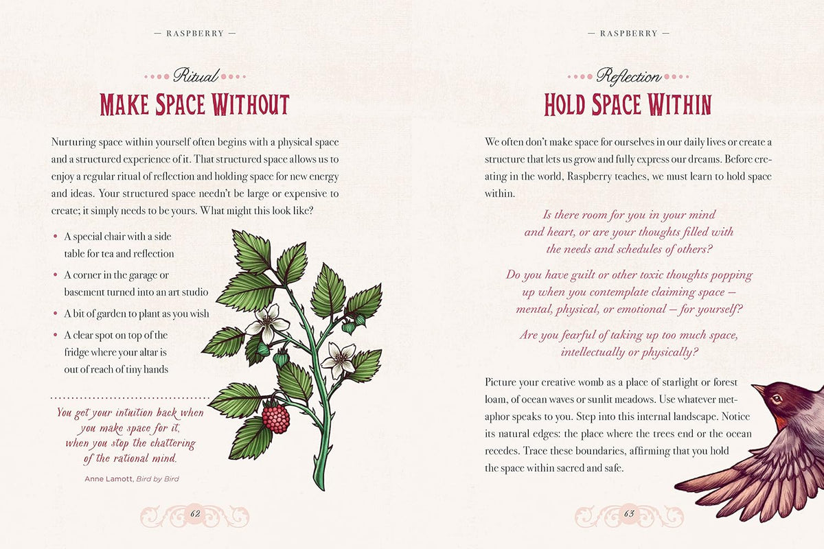The Illustrated Herbiary: Guidance and Rituals from 35 Bewitching Botanicals