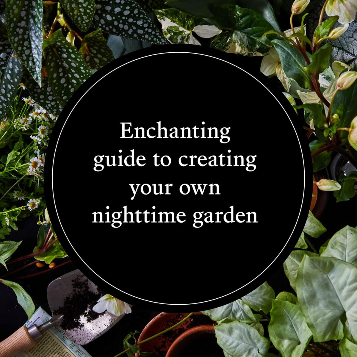 Moon Garden: A Guide to Creating an Evening Oasis