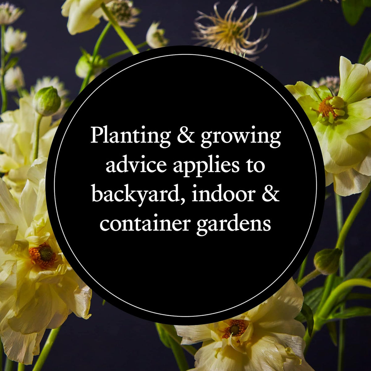 Moon Garden: A Guide to Creating an Evening Oasis