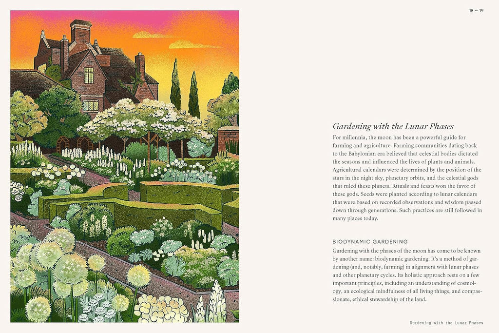 Moon Garden: A Guide to Creating an Evening Oasis