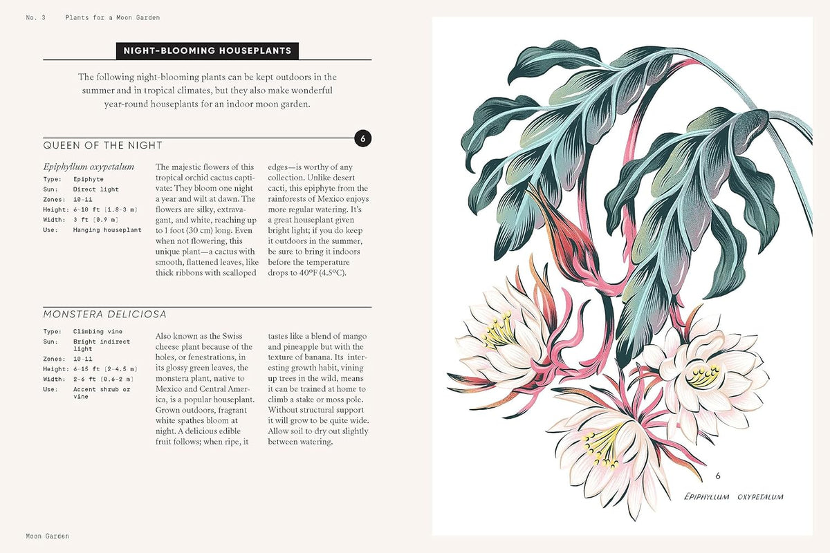 Moon Garden: A Guide to Creating an Evening Oasis