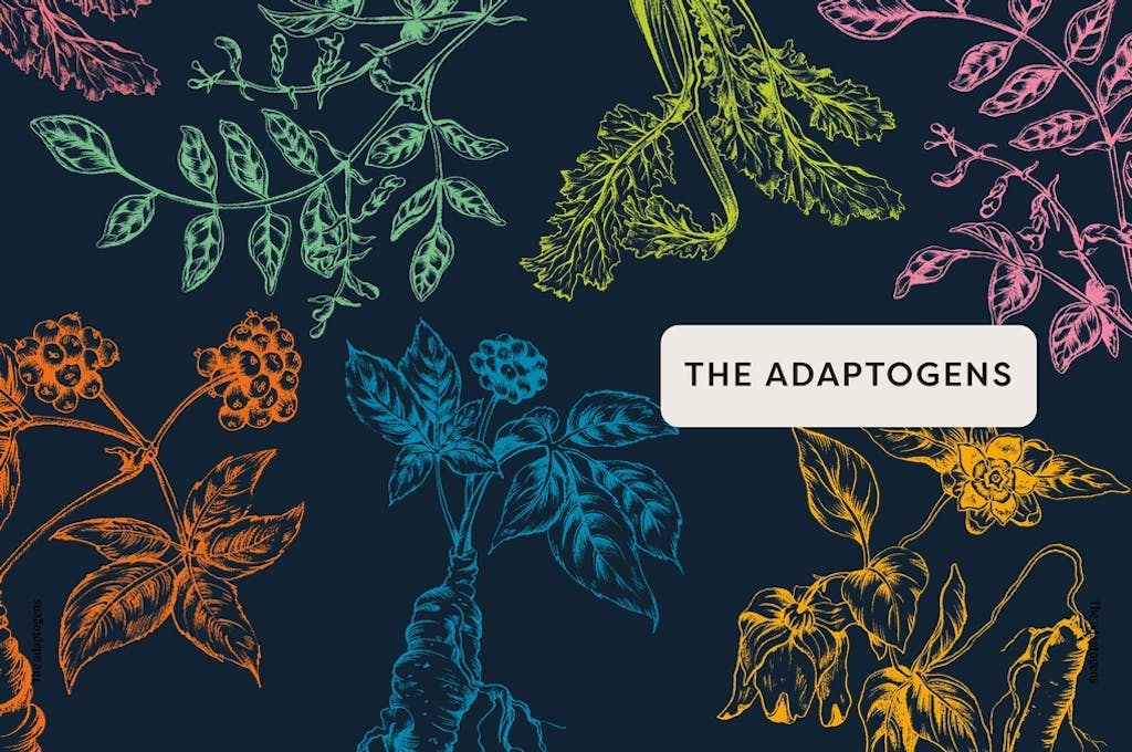 Nature's Apothecary: Harness the Healing Power of Herbs, Mushrooms and Other Adaptogens