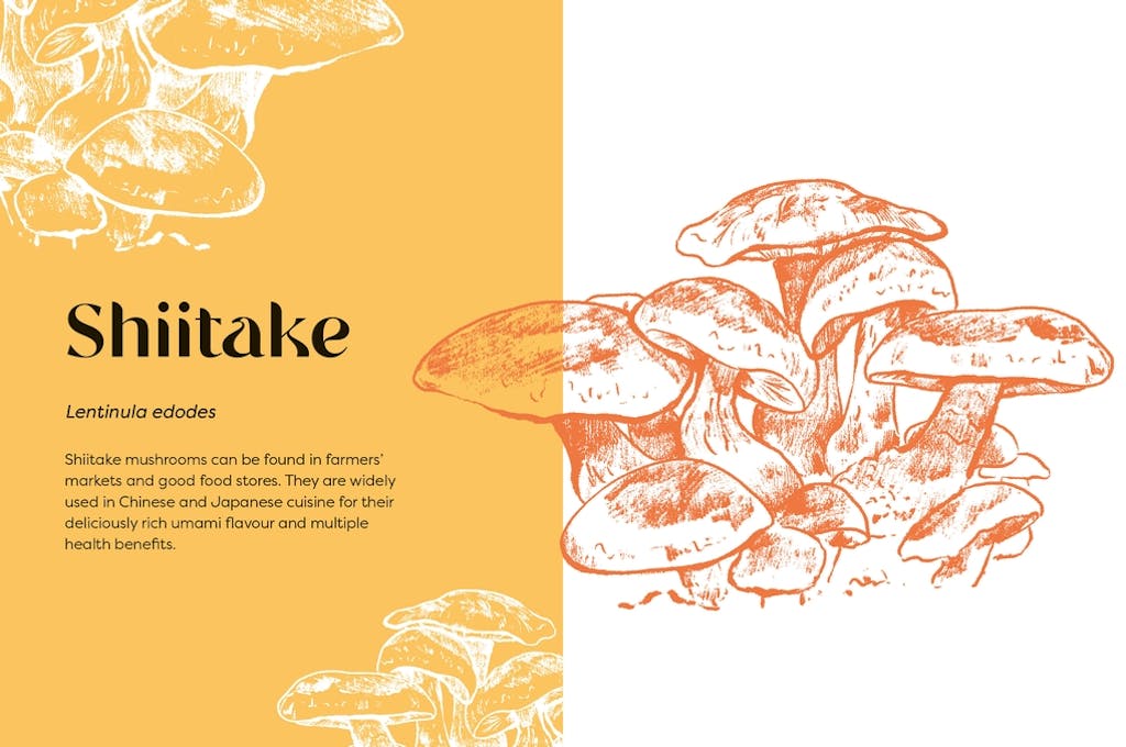 Nature's Apothecary: Harness the Healing Power of Herbs, Mushrooms and Other Adaptogens