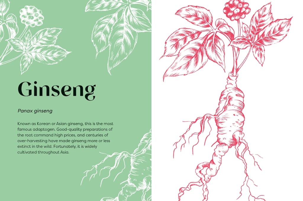 Nature's Apothecary: Harness the Healing Power of Herbs, Mushrooms and Other Adaptogens