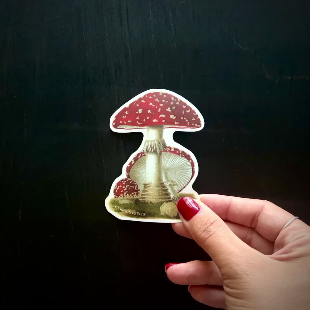Vintage Magic Mushroom Waterproof Sticker
