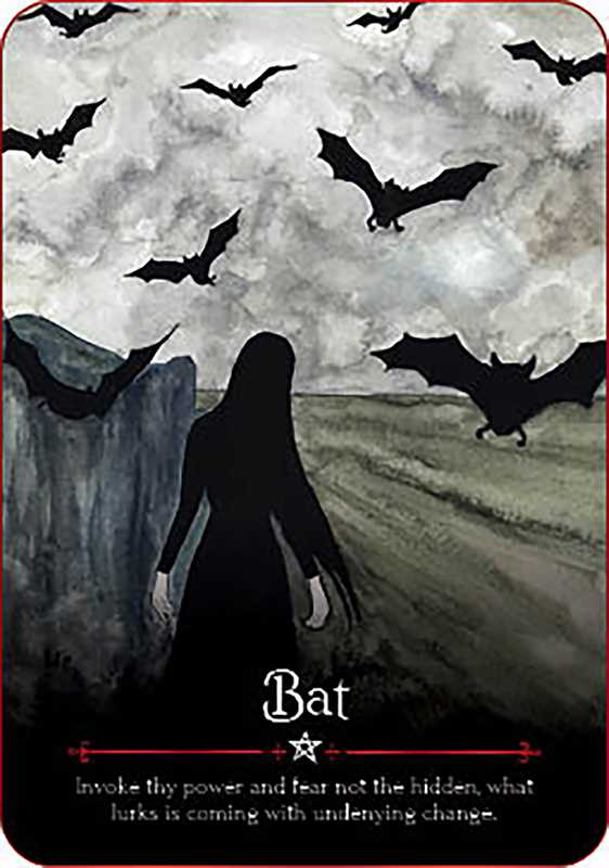 Seasons of the Witch Oracle | Samhain