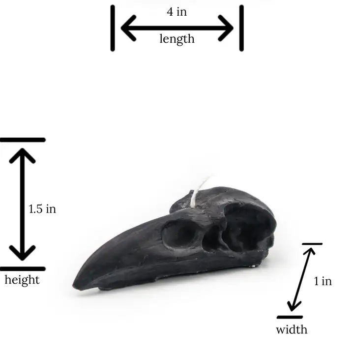 Raven Skull | Pillar Candle