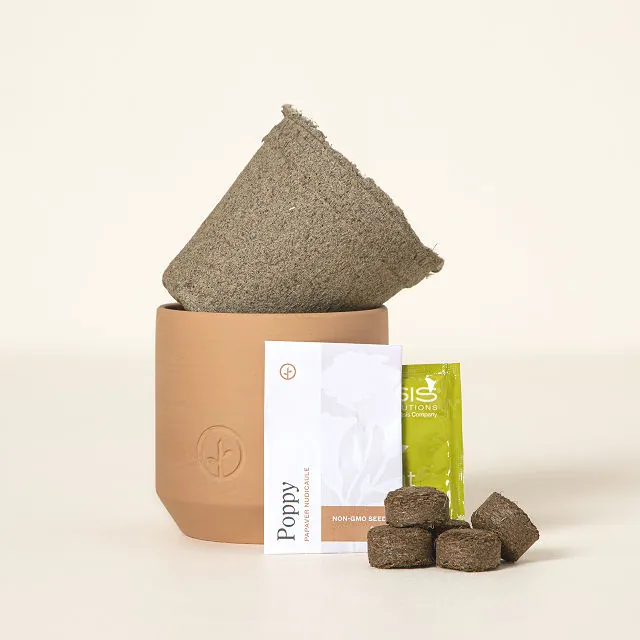 Champagne Poppies - Tiny Terracotta Grow Kits